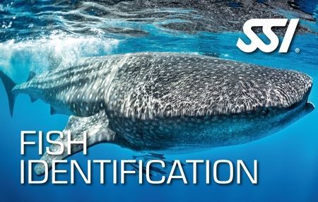 SSI Fish Identification Specialty