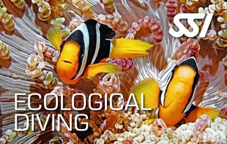 SSI - Marine Ecology / Underwater Naturalist