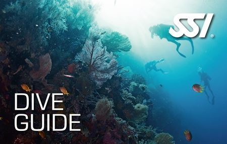 SSI- Dive Guide