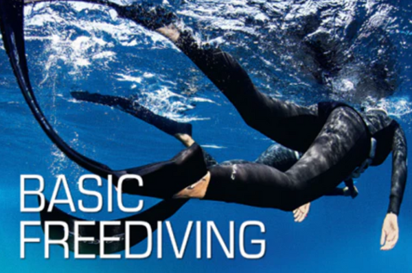 SSI Scuba Schools International Basic Freediving Course