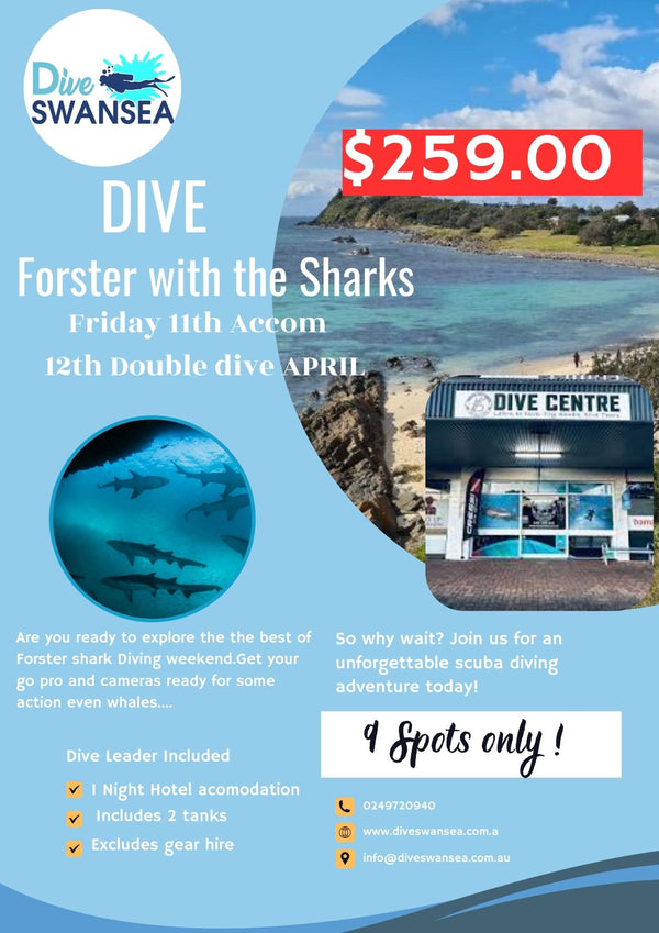 Dive Forster