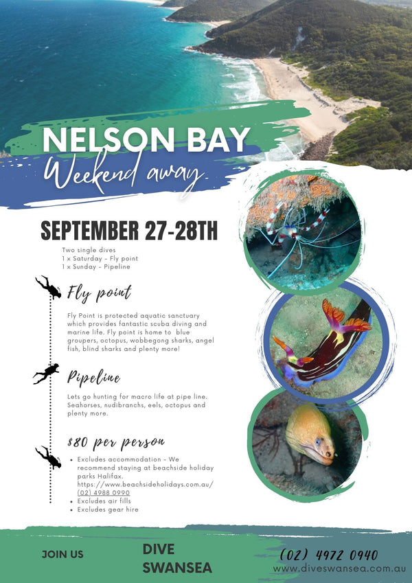 Dive Nelson Bay weekend 27-28TH September.