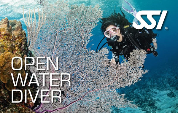 SSI - Learn to Dive Open Water Course