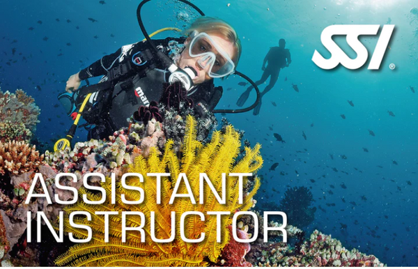 SSI -Assistant Instructor Course