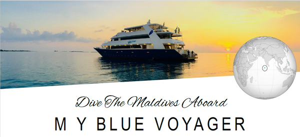 Best way to Dive Maldives on a Liveaboard 2025