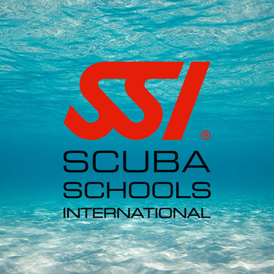 SSI Scuba Skills Update Refresher