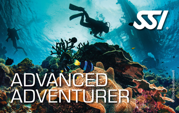SSI ADVANCED  30M